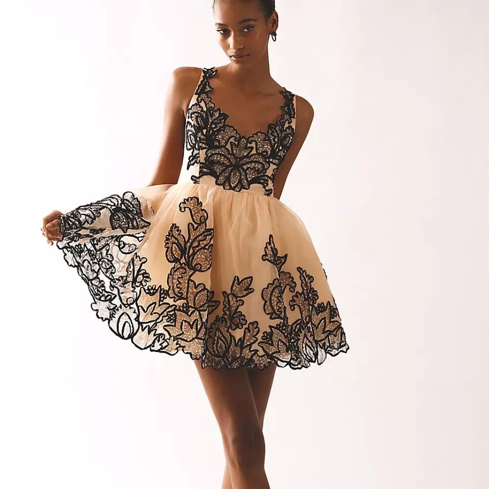 Anthropologie Maeve Sleeveless V-Neck Lace Fit And Flare Mini Dress Size 6 NWT - Picture 2 of 15